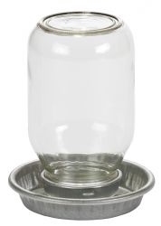 Baby chick waterer, glass mason jar