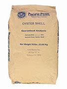 Pacific Pearl Oyster Shell